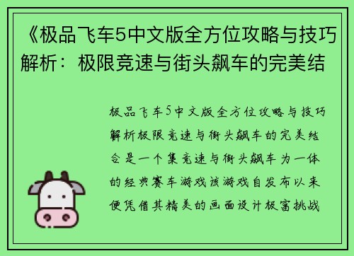 《极品飞车5中文版全方位攻略与技巧解析：极限竞速与街头飙车的完美结合》
